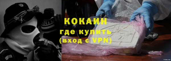 ГАЛЛЮЦИНОГЕННЫЕ ГРИБЫ Галич