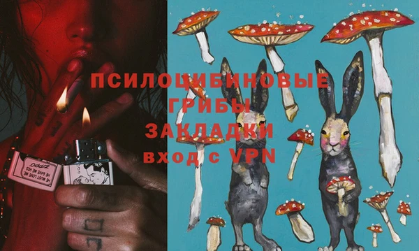 Альфа ПВП Гатчина