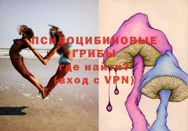 альфа пвп Гвардейск