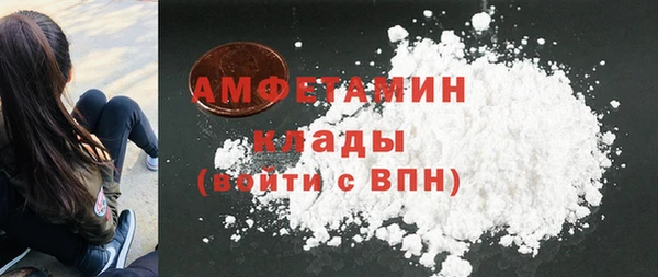 ГАЛЛЮЦИНОГЕННЫЕ ГРИБЫ Галич
