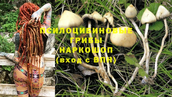 ALPHA PVP Богородск